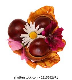 chestnuts and flowers in an autumn plate for your design