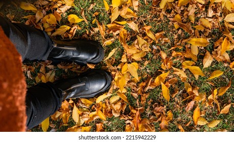 秋の画像、水平方向のビュー、コピー スペース、画像の上、cenital ビュー、緑の草の上にオレンジ色の秋の葉の上に立っている黒いブーツを身に着けている女性の足。