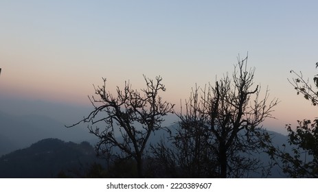 Cenário da natureza, floresta, árvores, manhã, névoa 640x1136 iPhone  5/5S/5C/SE Papéis de Parede