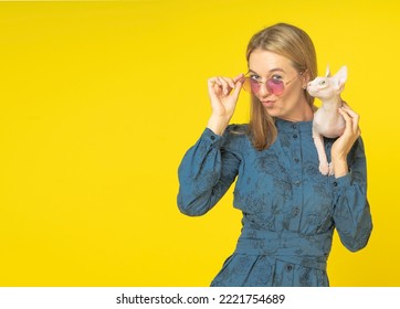hermosa chica vestida de azul con gato esfinge rosa en el hombro sosteniendo vasos de rosa con un beso en los labios, aislada de fondo amarillo