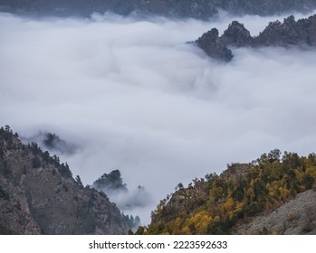 谷の底に沿って忍び寄る霧と雲から上から突き出た山の丘と尾根、コーカサス山脈の秋の風景