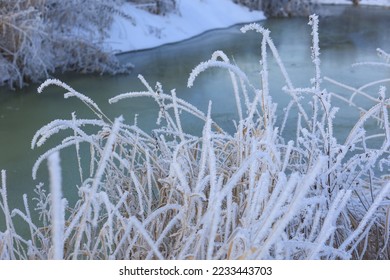 fondo de invierno, hierba congelada, nieve blanca y río, día helado. Enfoque selectivo.