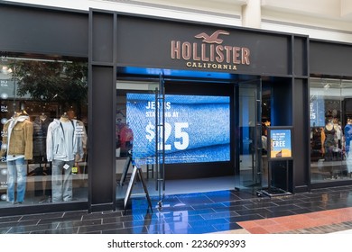 Hollister Co. Logo PNG Vector (AI) Free Download