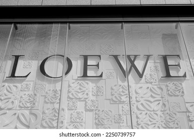 Loewe embroidered logo hoodie