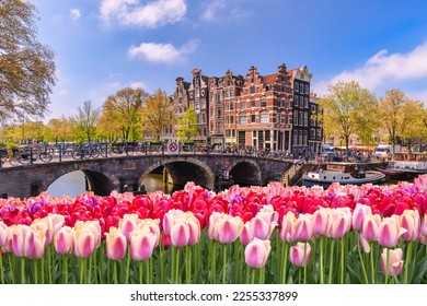 Amsterdam Países Bajos, horizonte de la ciudad en el paseo marítimo del canal con flor de tulipán de primavera
