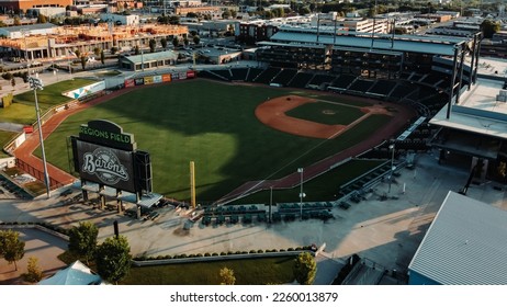 Birmingham Barons Logo and symbol, meaning, history, PNG, brand