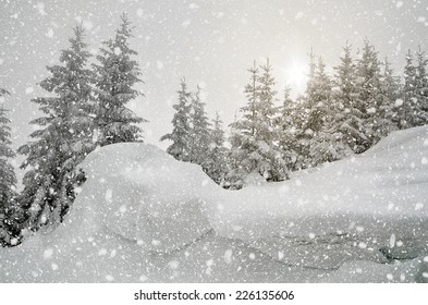 クリスマス ビュー。山の中の雪に覆われた森。灰色の色調の曇りの日の風景。太陽が雲の切れ間から輝いています。カルパティア山脈、ウクライナ、ヨーロッパ