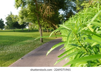 卡塔拉山美麗的綠地景觀