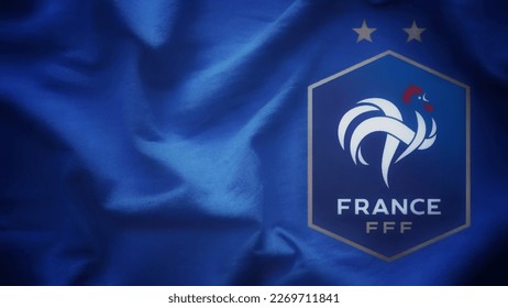 France Illustration Vector PNG Images, Official Logo Of France Football  Federation Vector Illustration, Football, Soccer, France PNG Image For Free  Download