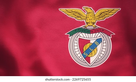 Liga Portuguesa De Futebol Profissional PNG and Liga Portuguesa De Futebol  Profissional Transparent Clipart Free Download. - CleanPNG / KissPNG