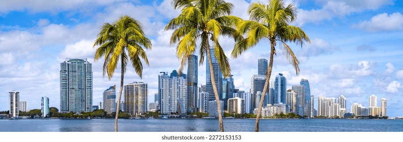 Obzorje Miamija s palmami, Florida