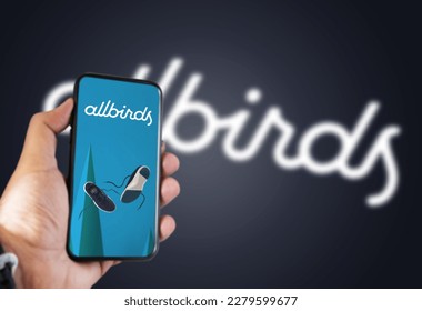 Allbirds sales logo png