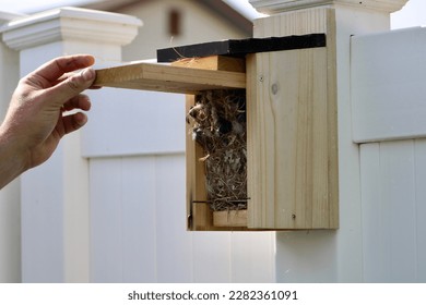 Een man ruimt een verlaten vogelnest op in een houten vogelhuisje.