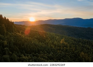 Aerial view of foggy evening over high peaks with dark pine forest trees at bright sunset. Amazing scenery of wild mountain woodland at dusk