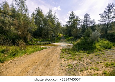 A Dirt Road Crosses the River Vathy Argaki Through a Ford and Climbs a Hill Surrounded by Rocks, Green Bushes and Pine Forest and Under a Blue Cloudy Sky (Kornos, Larnaca District, Cyprus)