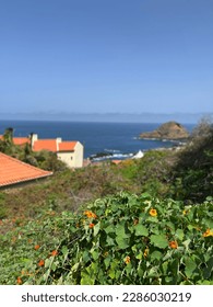 Funchal, Madeira, es una ciudad muy bonita y tranquila. La "Zona Velha" (Ciudad Vieja) es una mezcla de callejuelas pequeñas y acogedoras donde los lugareños y los turistas acuden durante el día para disfrutar de las hermosas puestas de sol.