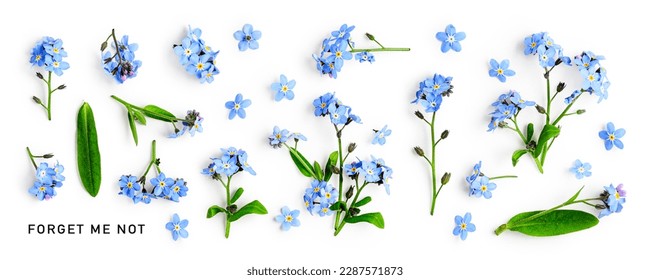 青は白い背景に分離された花の創造的なコレクションを忘れてください。春と母の日のコンセプト。デザイン要素。平置き、上面図