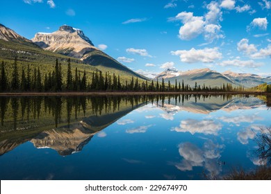 Lago de aves acuáticas, Parque Nacional de Banff, Alberta, Canadá