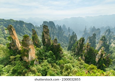 Avatar movie avatars flying over forest and rocks 2K wallpaper download