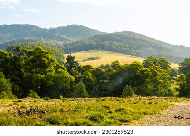 Vista panoramica della natura a East Warburton