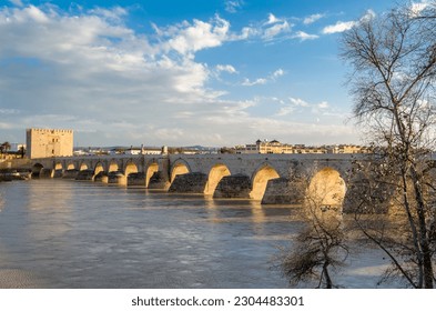 Detail of the ancient Roman bridge of Cordoba, Andalusia, southern Spain