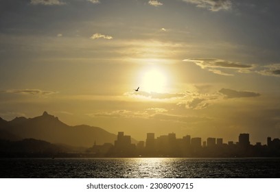 Coucher de soleil à Rio de Janeiro et un oiseau