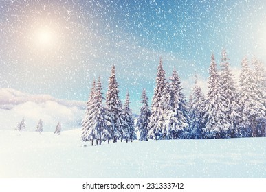 太陽の光に照らされた幻想的な山の風景。劇的な冬景色。カルパティア、ウクライナ、ヨーロッパ。美の世界。レトロなフィルター。Instagram 調色効果。あけましておめでとう！