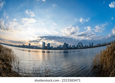 Vue de la rivière avec un ciel bleu, quelques plantes et la ville d'Umeda en arrière-plan (Umeda, Osaka, Japon) (effet fish-eye) (20230606-006)
