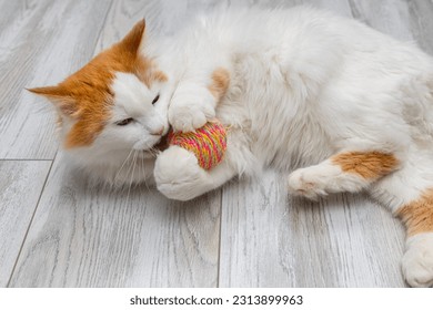 gato branco com cabeça vermelha brinca com uma bola de tricô. brinquedo de bola para gato. gato mastiga uma bola de tricô