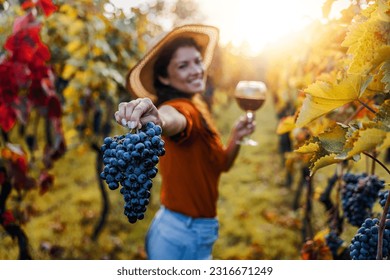 Woman holding glass of red wine in vineyard. Food and drink concept.She is showing grapes to camera.