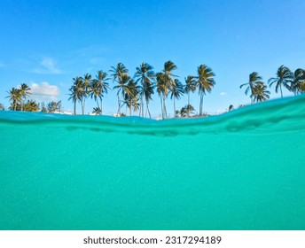 热带岛屿的海滩上，半个水下都是碧绿的海水和绿色的棕榈树，背景是蓝天。令人惊叹的夏日假期