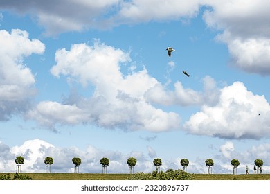 Une mouette dans le ciel avec un poisson qui en tombe contre un ciel profond avec des cumulus blancs sur fond d'arbres verts
