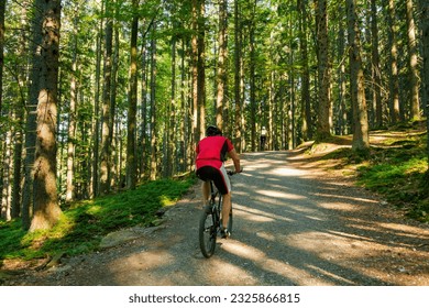 El ciclista circula por un camino forestal.