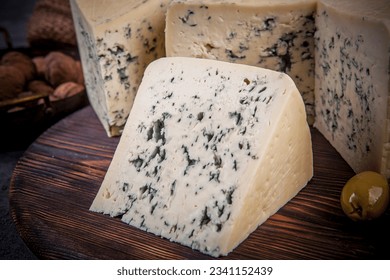 Cheese collection, piece of gorgonzola cheese with blue mold close up