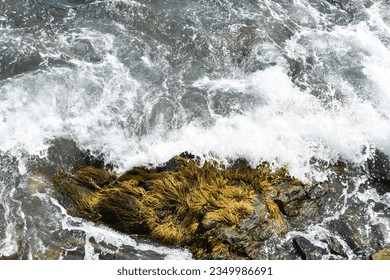 Valuri albe se lovesc de o stâncă acoperită cu mușchi de mare