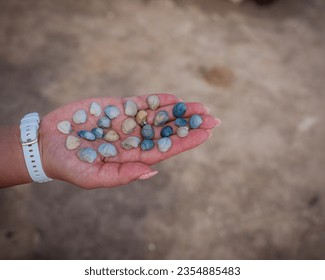 2354885483