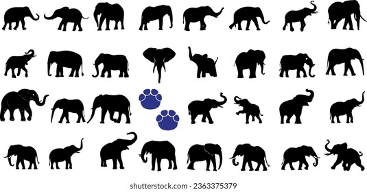 Download Giant Tiger Logo in SVG Vector or PNG File Format 