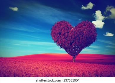 Heart shape tree with red leaves on red flower field. Love symbol, concept for Valentine's Day, wedding etc. Vintage style