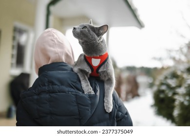 Gatto blu russo di razza pura che cammina in un cortile in una giornata invernale innevata. Gatto domestico giovane che si diverte all'aperto in un giardino o in un cortile.