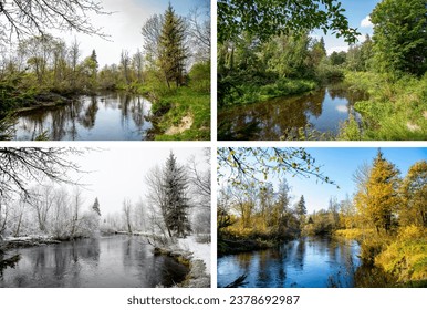Schéin Collage vu 4 Joreszäiten d'ganzt Joer, verschidde Biller awer déiselwecht Plaz vun engem Floss an der Wüst. Fréijoersblat, gréng frësch helle Summerdag, Hierschtblieder, Schnéi an Äis am Wanter.