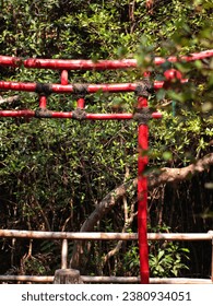 Red bamboo gate from Japanese culture in the mangrove forest park