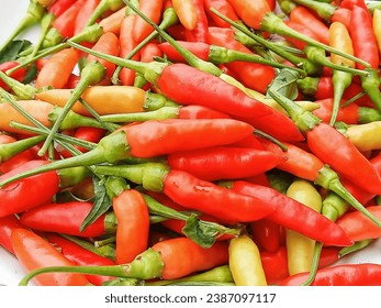 Čerstvé chilli papričky natrhané ze zahrady.