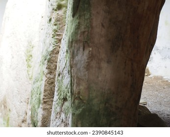 Gambar-gambar misterius di batu makam Ratu Anya, Lembah Clogher, Makam Knockmany Passage