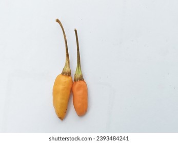 Chilli jsou suché, ale nesnižují pikantnost.