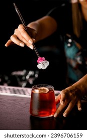 close-up tangan bartender wanita memegang pinset dengan bunga segar kecil dan menghias gelas dengan koktail beralkohol berwarna cokelat. Latar belakang hitam. Wanita membuat koktail di bar