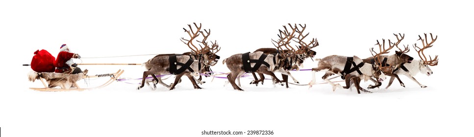 Paseos de Papá Noel en un trineo tirado por renos. Se apresura a dar regalos antes de Navidad.