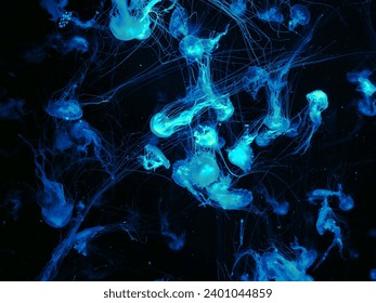 Quallengruppe mit langen Tentakeln schwimmt und glüht mit Röntgeneffekt auf dunklem Hintergrund, Pop-Art-Druckdesign im futuristischen Retrowave-Stil. Impressionistisches Foto mit Farbverlauf. Verschwommene transparente Tiersäuregrafik