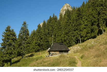Ein hölzerner Schafstall auf einer schönen Weide, umgeben von Nadelwäldern. Herbstzeit. Ein Fußweg führt zu der Blockhütte, die auf einer felsigen, bergigen Weide liegt. Buila, Karpaten, Rumänien.