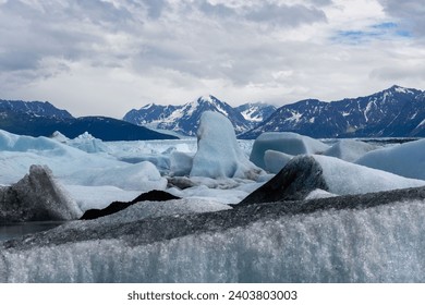 Auf der Erde befinden sich 99 % des Gletschereises in riesigen Eisschichten, auch Kontinentalgletscher genannt, in Polargebieten. Gletscher sind in Gebirgsketten auf allen Kontinenten außer Australien zu finden.