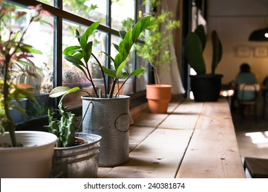 Een kleine plantenpot in het raam